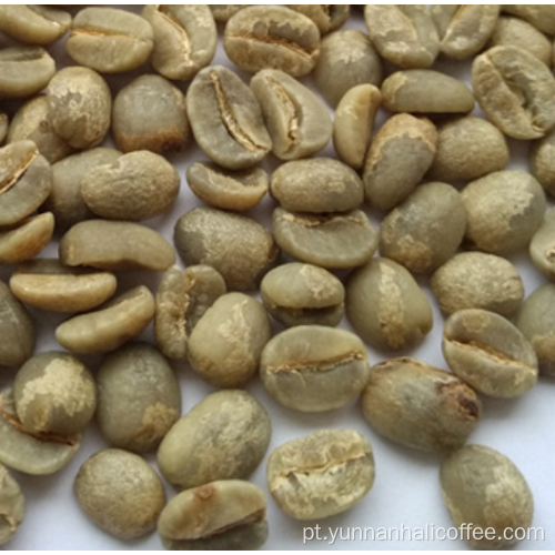 Feijão Verde Hali Typica